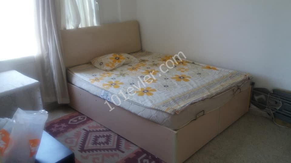 Flat To Rent in Haspolat, Nicosia