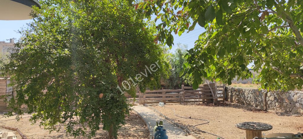 Villa For Sale in Boğaz, Kyrenia