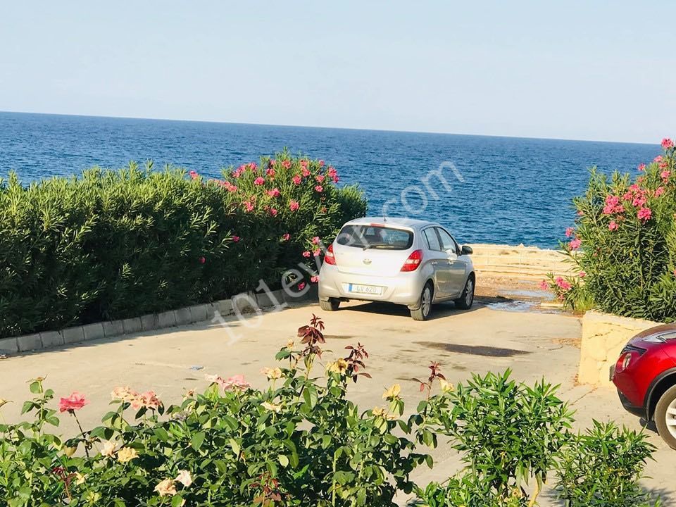 Flat To Rent in Lapta, Kyrenia