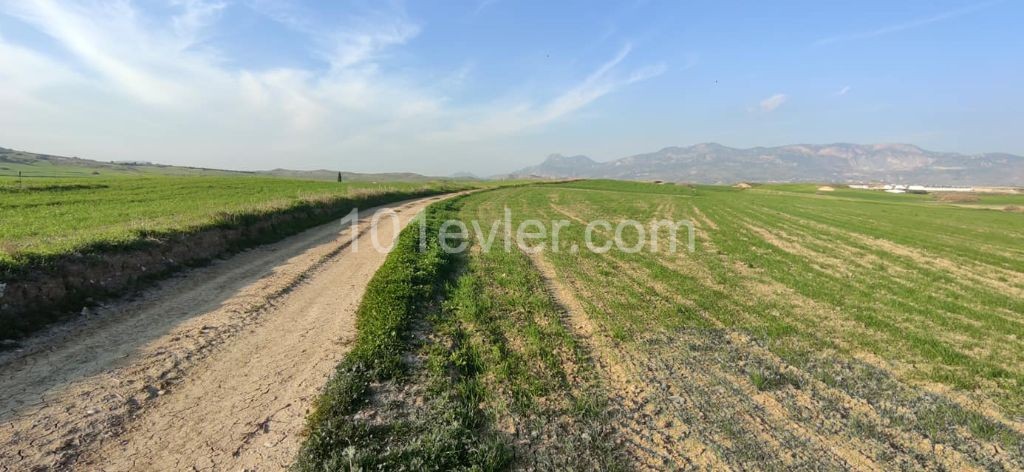 Field For Sale in Yılmazköy, Nicosia