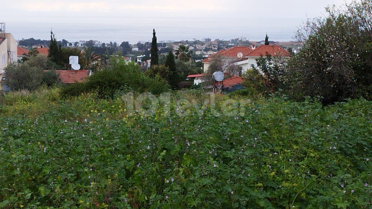 GRUNDSTÜCK IN HERRLICHER LAGE IN GİRNE KARŞIYAKA. 