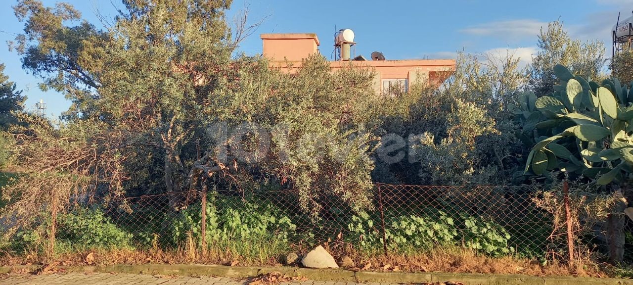 DUBLEX HOUSING WITH A VERY LARGE GARDEN IN GÜZELYURT BOSTANCI.