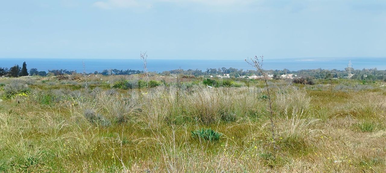 ALL FLAT FOR LAND WITH A VAST SEA VIEW IN A HIGH POSITION IN LEFKE GREENLYURT. 