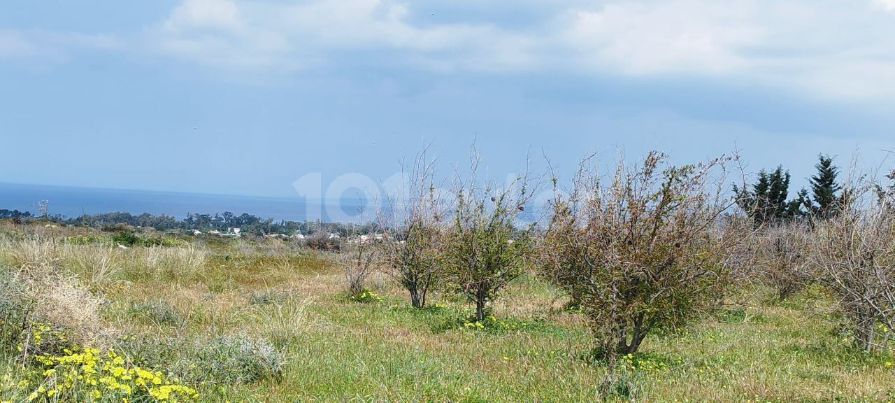 ALL FLAT FOR LAND WITH A VAST SEA VIEW IN A HIGH POSITION IN LEFKE GREENLYURT. 