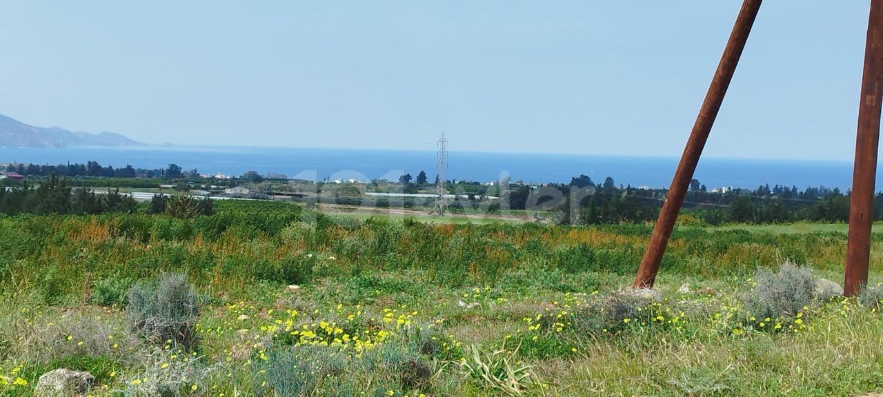 ALL FLAT FOR LAND WITH A VAST SEA VIEW IN A HIGH POSITION IN LEFKE GREENLYURT. 