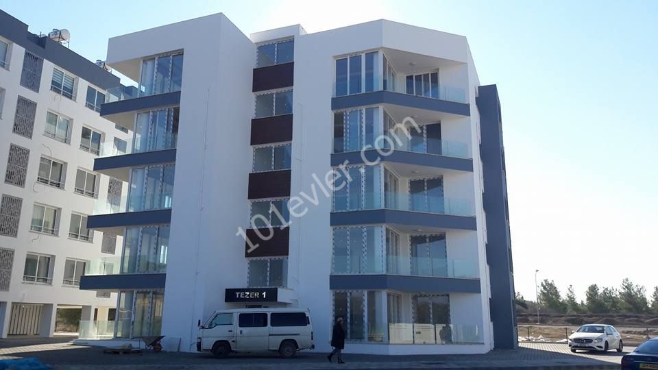 Flat To Rent in Köşklüçiftlik, Nicosia