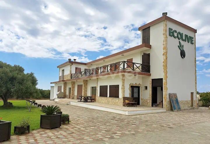 Tägliche Studio-Apartments im mediterranen Dorf Girne für den Tourismus geöffnet
