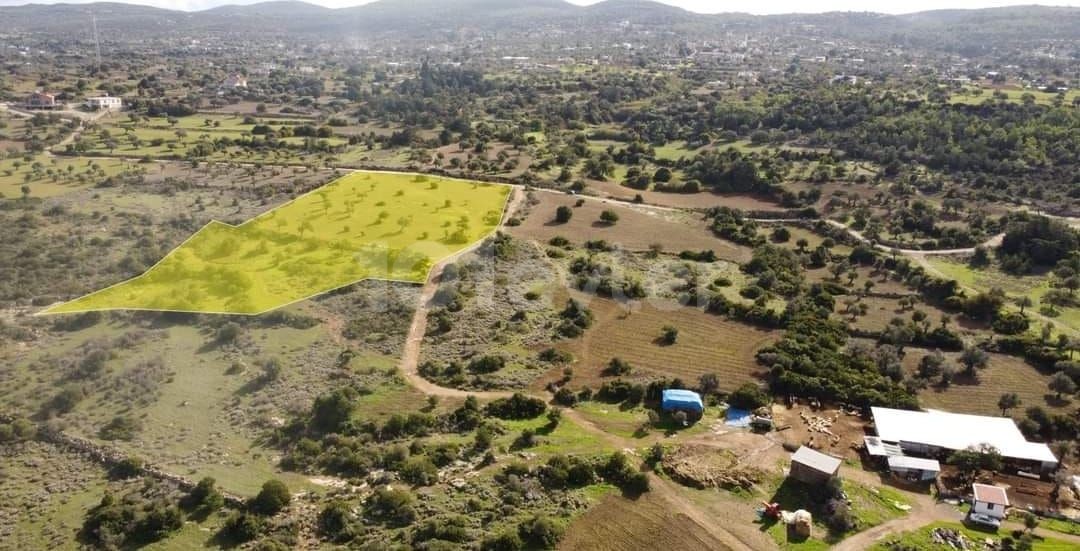 Land for Sale with Mountain and Sea Views in Yeni Erenkoy