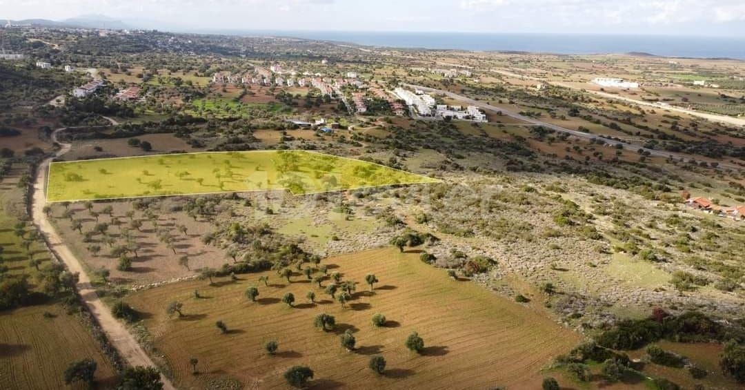 Land for Sale with Mountain and Sea Views in Yeni Erenkoy