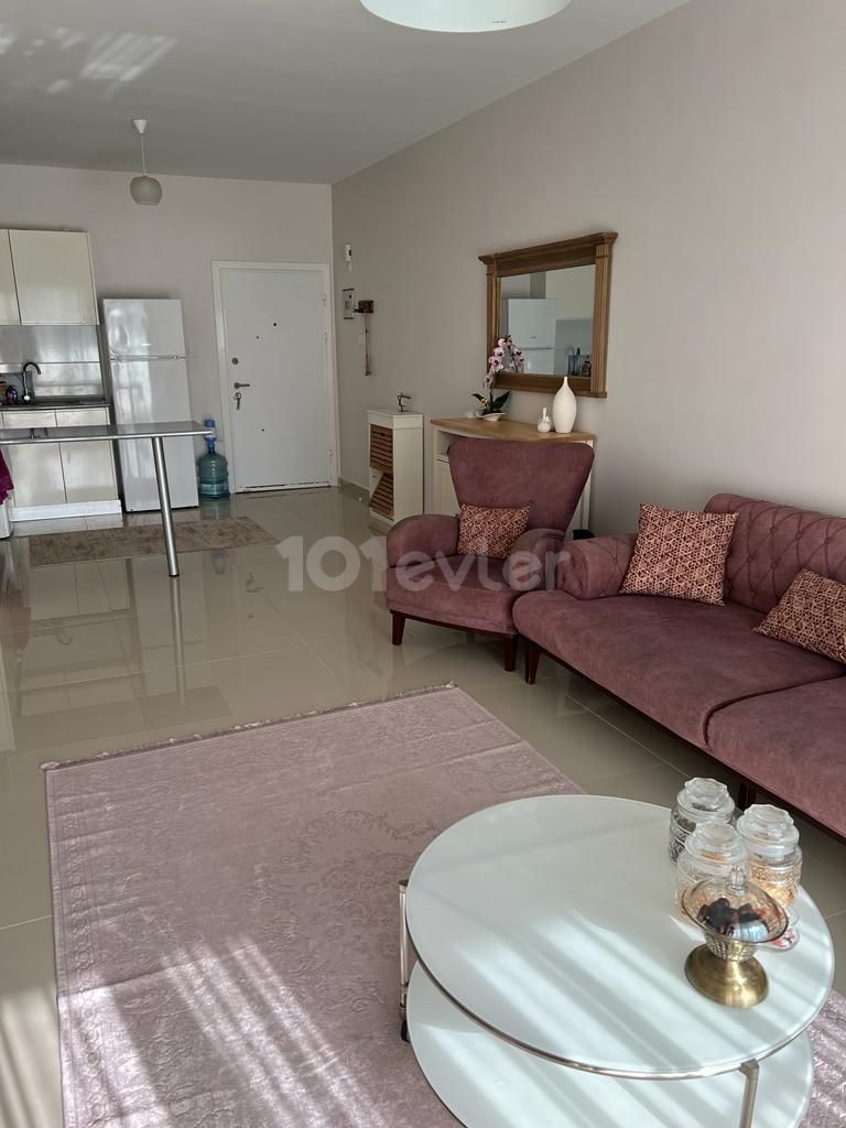 1+1 flat ceasar fuly furnished