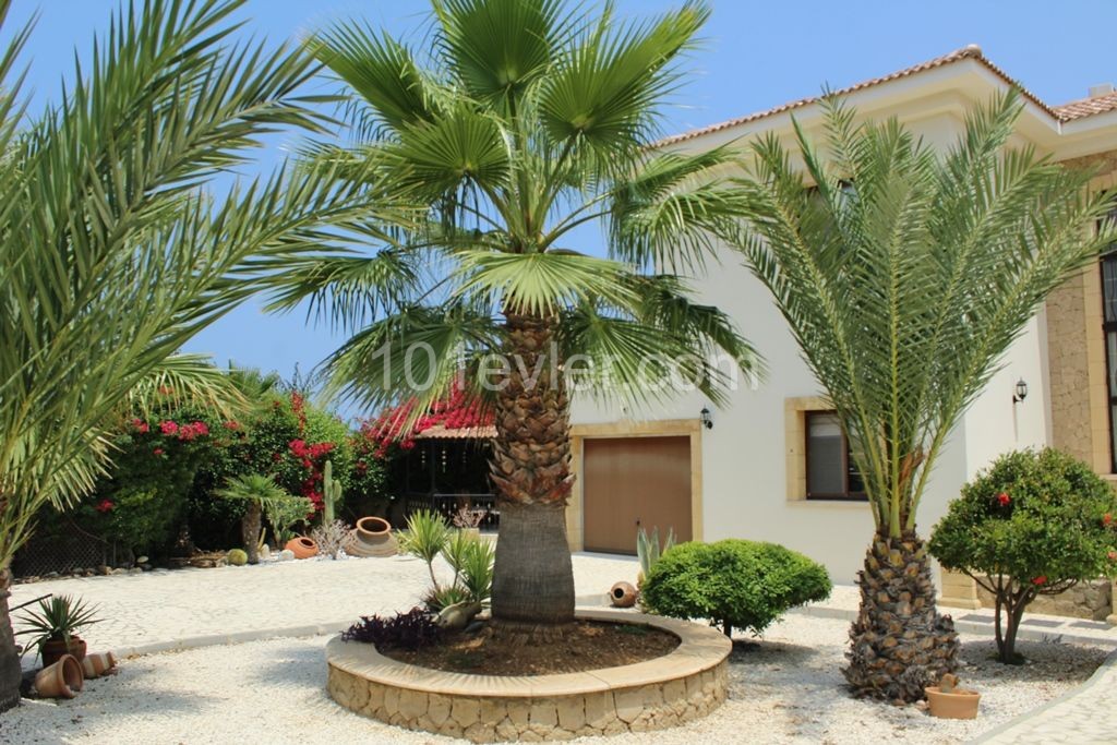 4 + 1 Luxusvilla Am Meer in Esentepe ** 