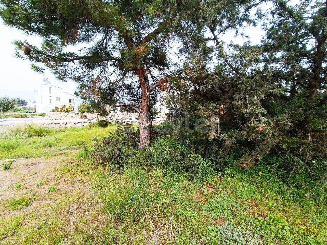 Field For Sale in Esentepe, Kyrenia