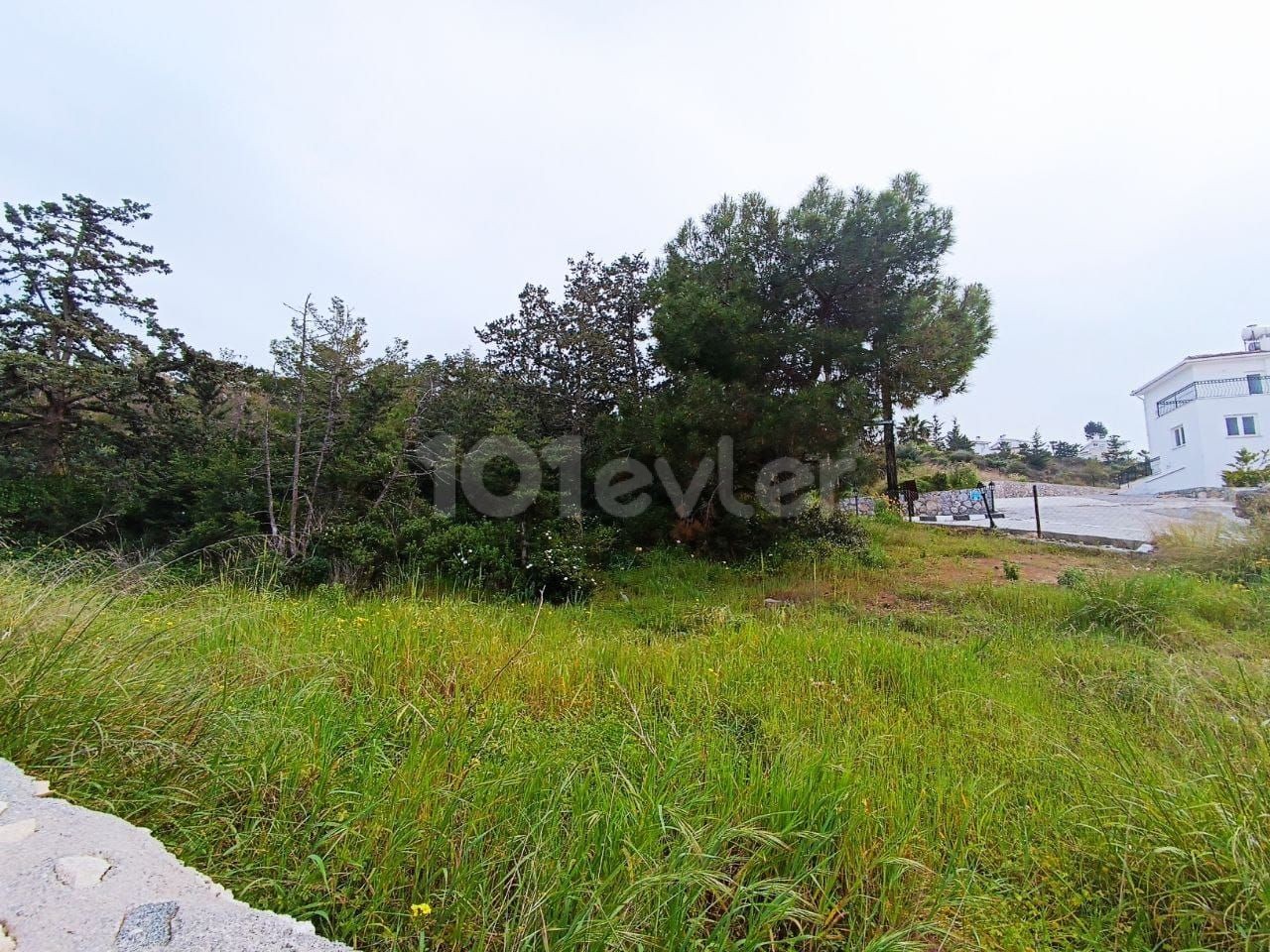 Field For Sale in Esentepe, Kyrenia