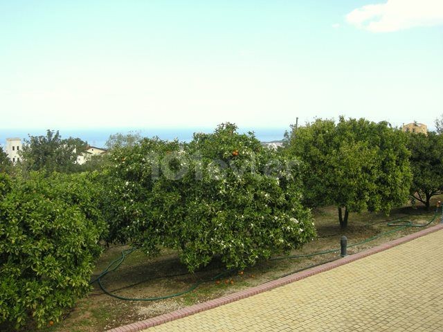 Kyrenia /Catalkoy Bereich in der Grünanlage im Garten einer großen Villa