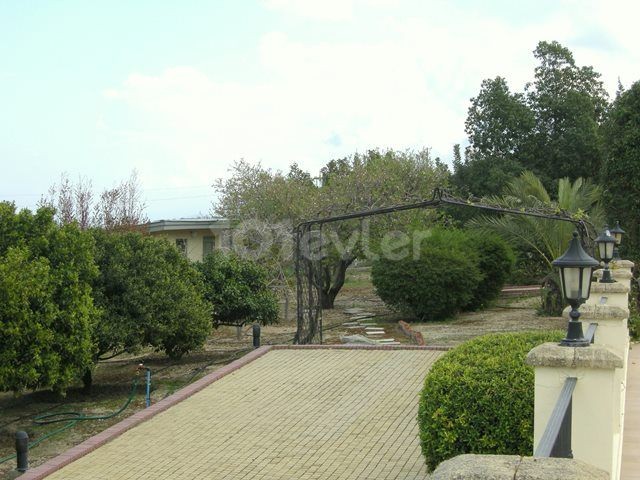 Kyrenia /Catalkoy Bereich in der Grünanlage im Garten einer großen Villa