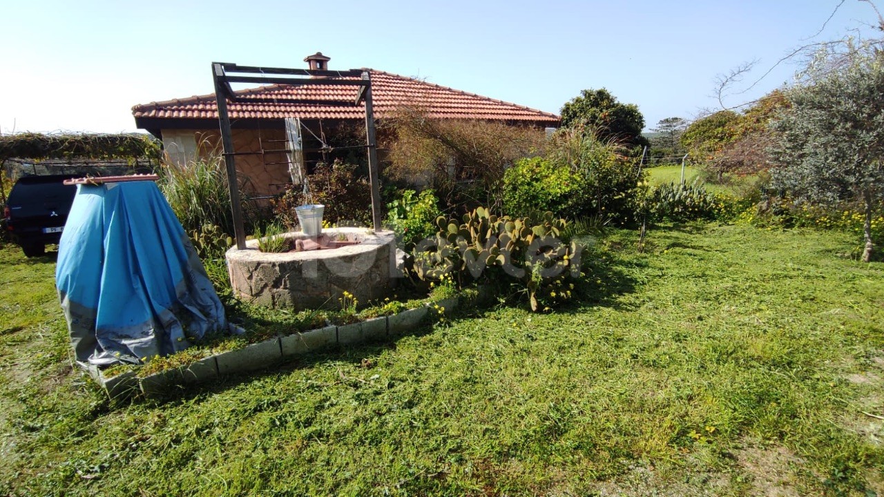 Gelbes Steinhaus mit Garten in Dipkarpaz-İskele – freistehend