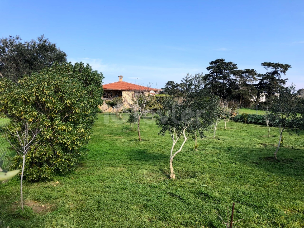 Gelbes Steinhaus mit Garten in Dipkarpaz-İskele – freistehend