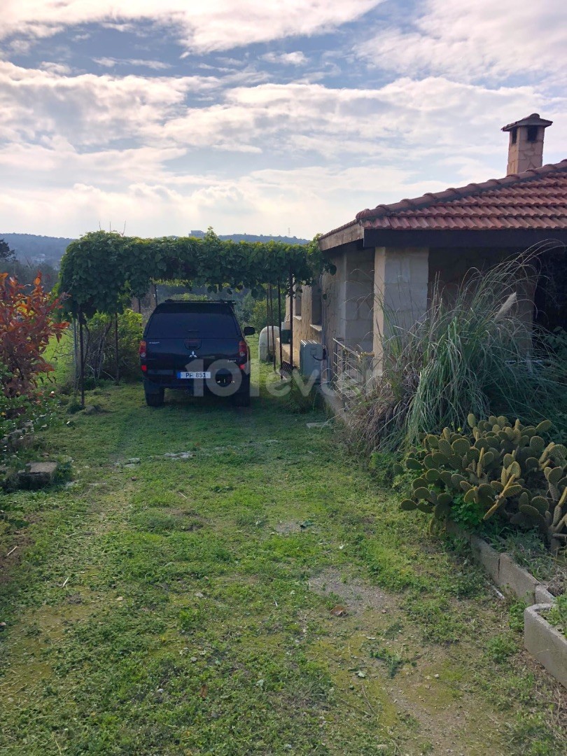 Gelbes Steinhaus mit Garten in Dipkarpaz-İskele – freistehend