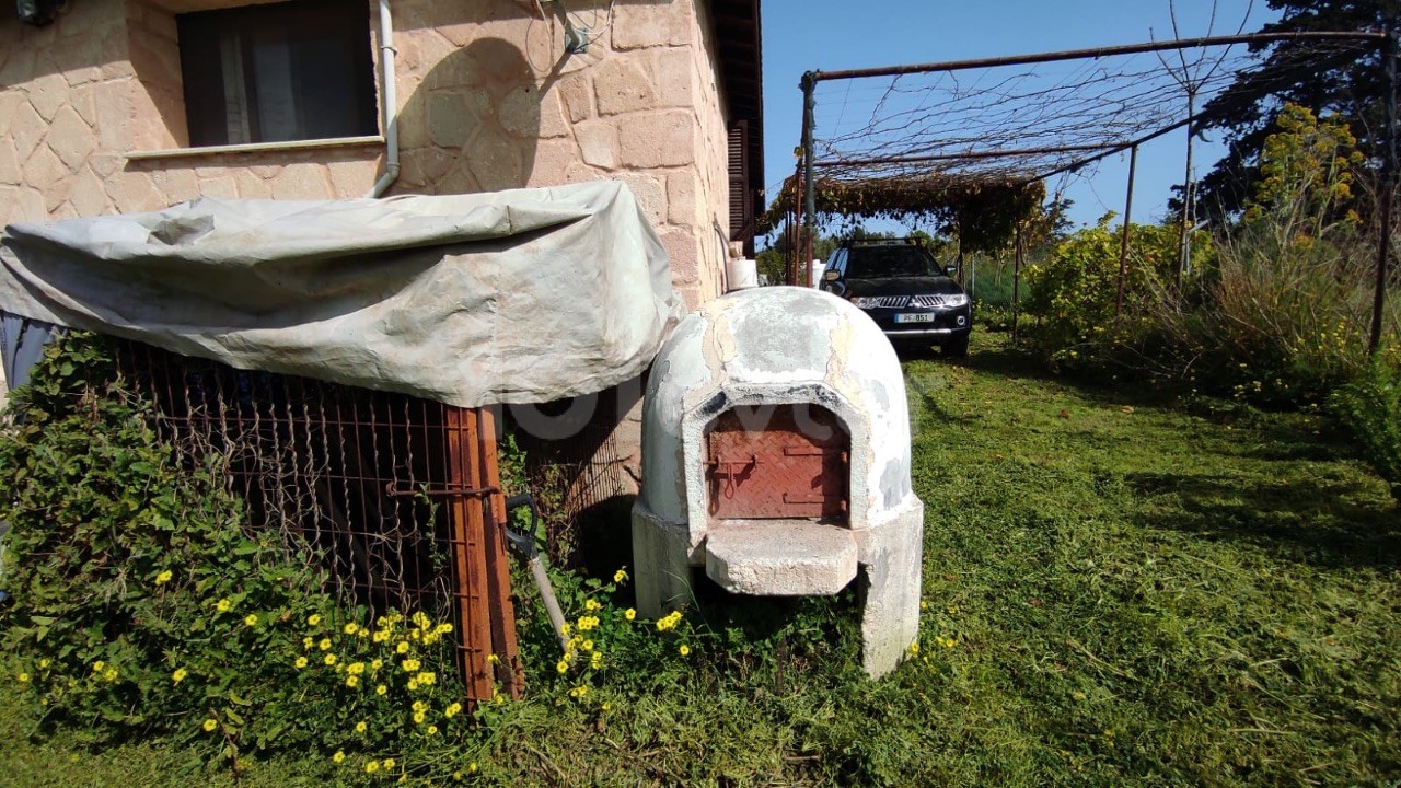 Gelbes Steinhaus mit Garten in Dipkarpaz-İskele – freistehend