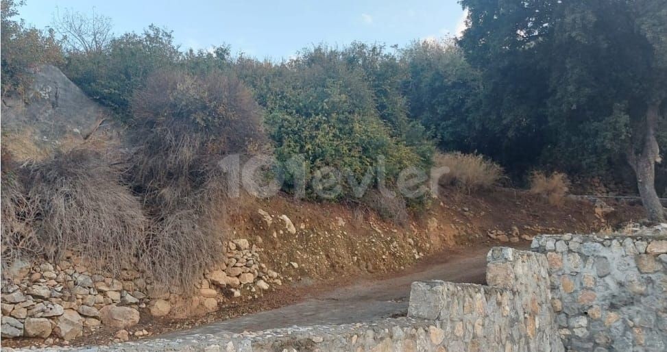 636 m2 GRUNDSTÜCK ZUM VERKAUF IM OSTEN DES BERGES IN GIRNE AGTIAKA 