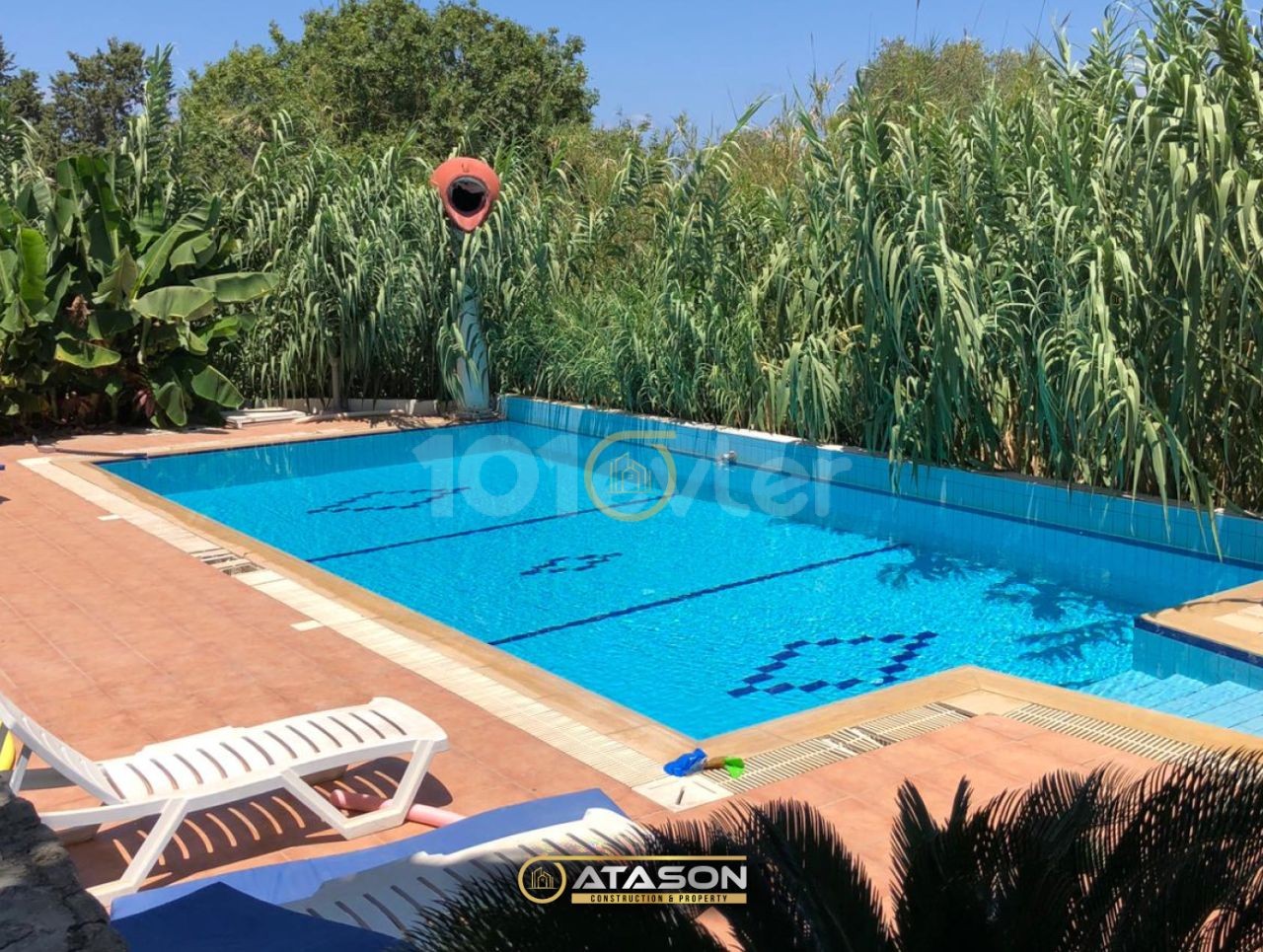 DAILY RENTAL VDAILY RENTAL VILLA IN GIRNE ALSANCAK