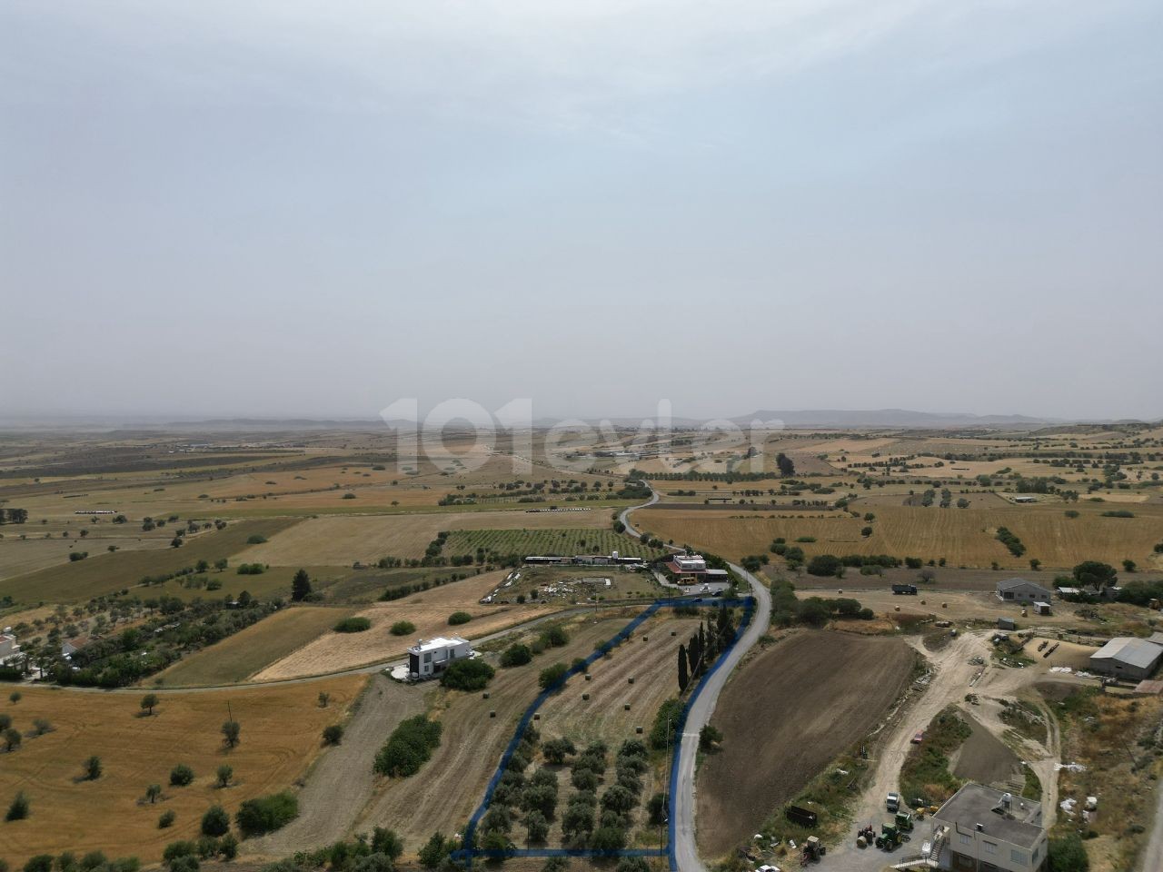 4 donums of land with Turkish thistles for sale in Pinarbaşı