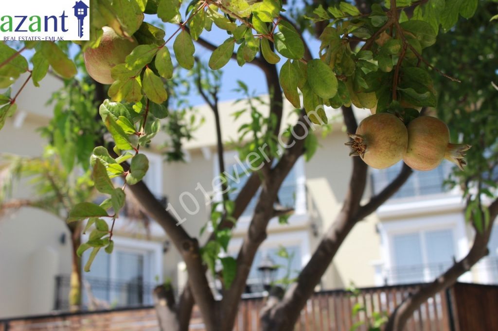 Alsancak'ta 2  yatak odalı yüksek kaliteli kiralık daireler  