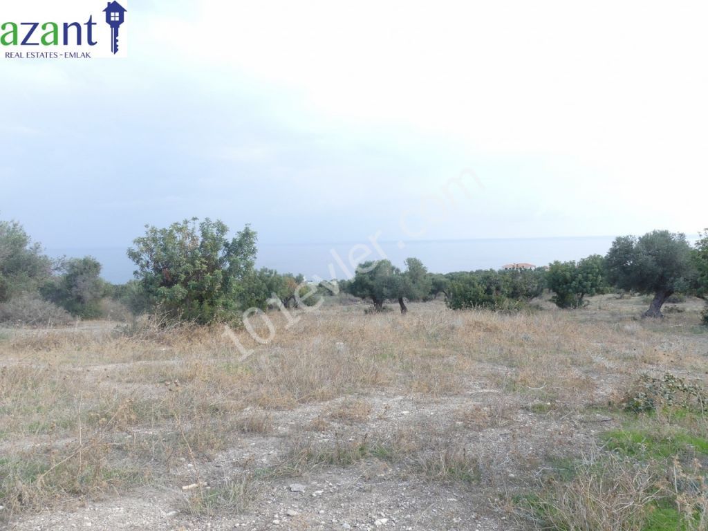 Land With Stunning Views For Sale In Kayalar