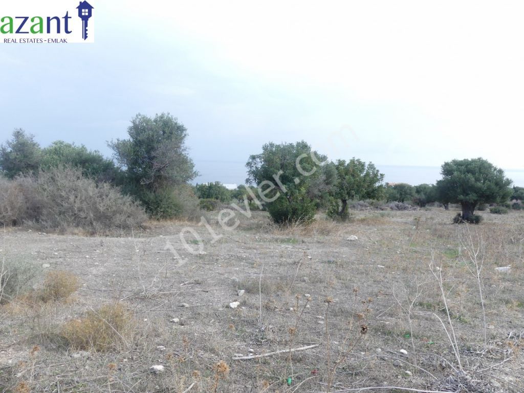 Land With Stunning Views For Sale In Kayalar