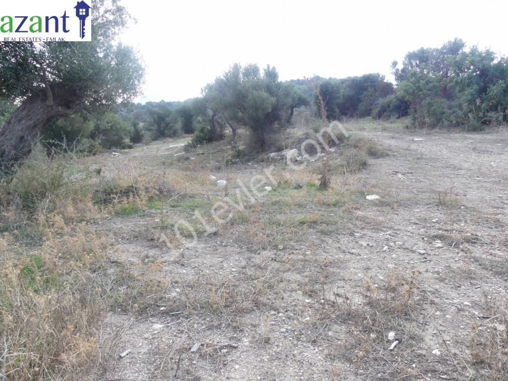 Land With Stunning Views For Sale In Kayalar