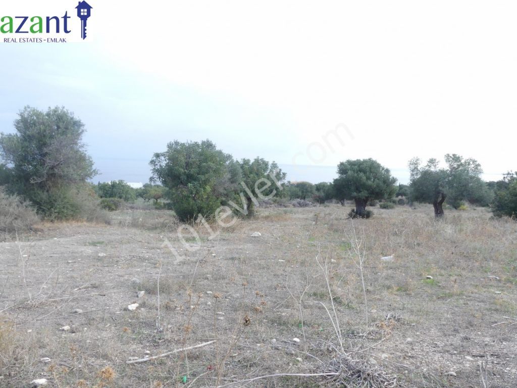 Land With Stunning Views For Sale In Kayalar