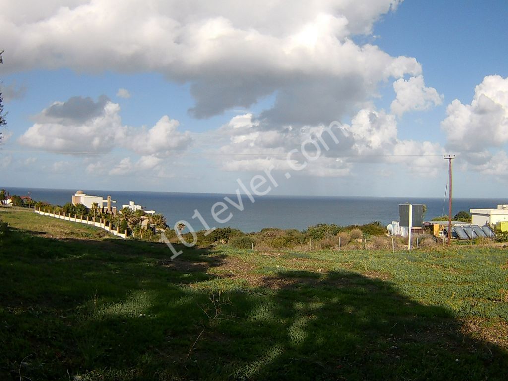 10 DONUMS OF LAND IN KAYALAR CLOSE TO SEA AND MOUNTAINS (35k Per Donum)