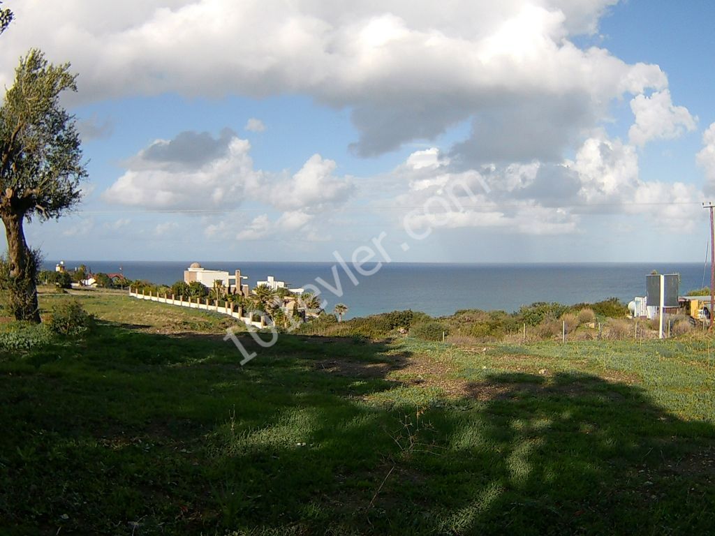 10 DONUMS OF LAND IN KAYALAR CLOSE TO SEA AND MOUNTAINS (35k Per Donum)