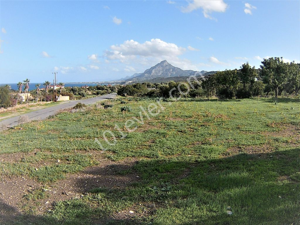 10 DONUMS OF LAND IN KAYALAR CLOSE TO SEA AND MOUNTAINS (35k Per Donum)