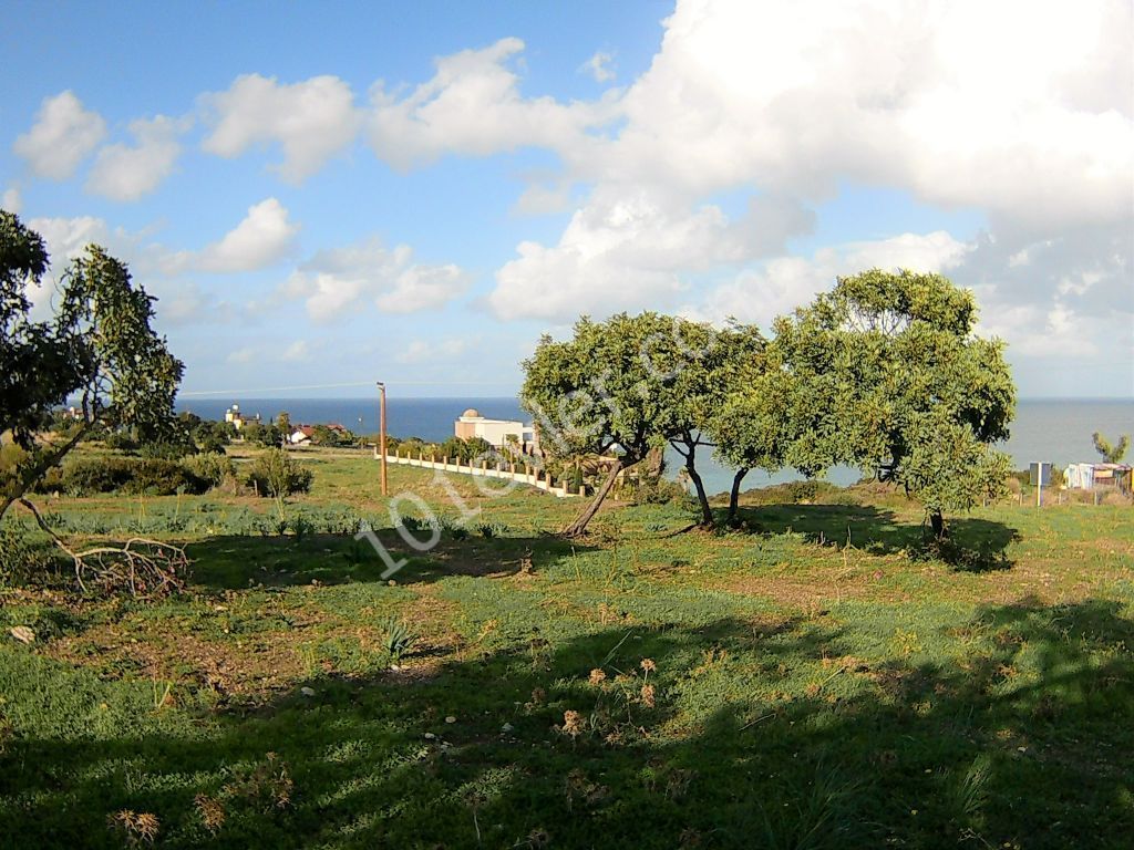 10 DONUMS OF LAND IN KAYALAR CLOSE TO SEA AND MOUNTAINS (35k Per Donum)