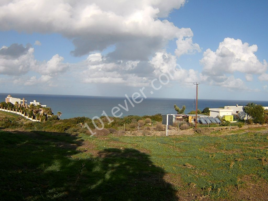 10 DONUMS OF LAND IN KAYALAR CLOSE TO SEA AND MOUNTAINS (35k Per Donum)