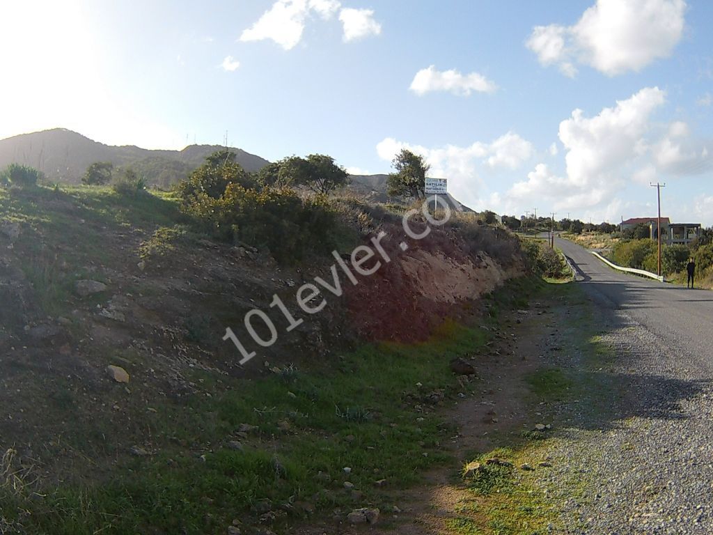 10 DONUMS OF LAND IN KAYALAR CLOSE TO SEA AND MOUNTAINS (35k Per Donum)