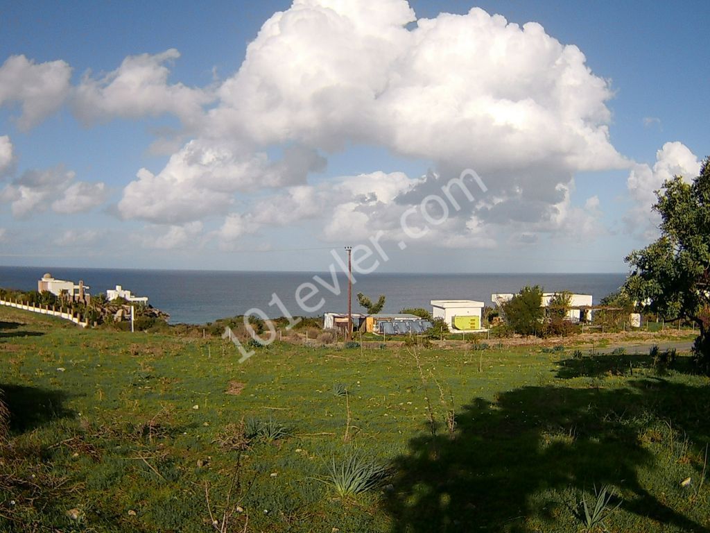 10 DONUMS OF LAND IN KAYALAR CLOSE TO SEA AND MOUNTAINS (35k Per Donum)