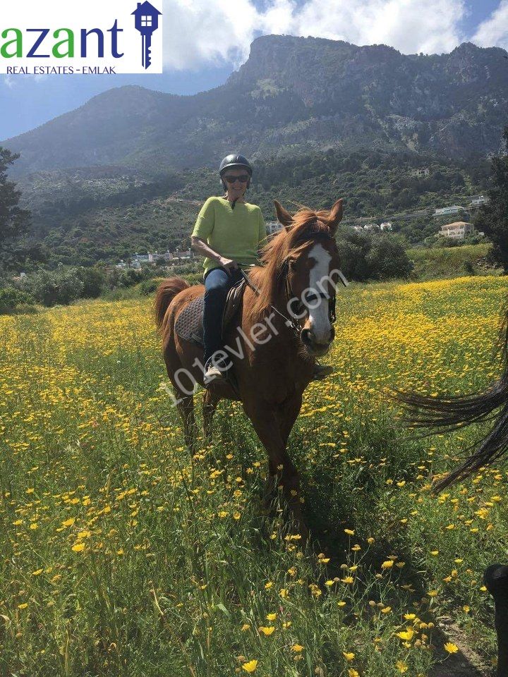 Açık Hava  Etkinliği İşletme Satılık Kuzey Kıbrıs'ta