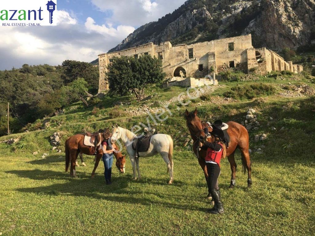 Outdoor Activity Business For Sale in North Cyprus