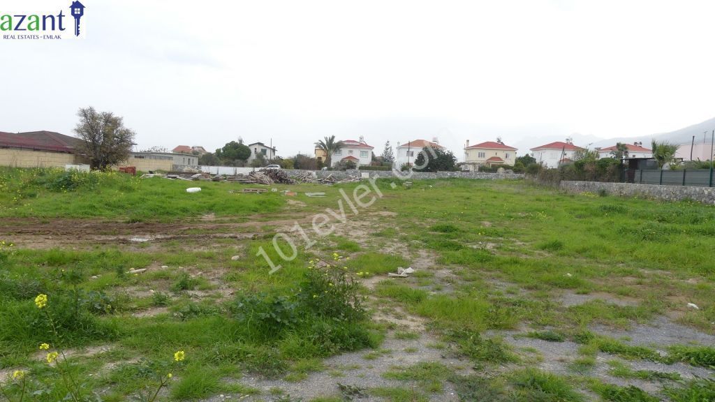 Investment Opportunity. Land and project for 16 apartments and communal pool for sale.