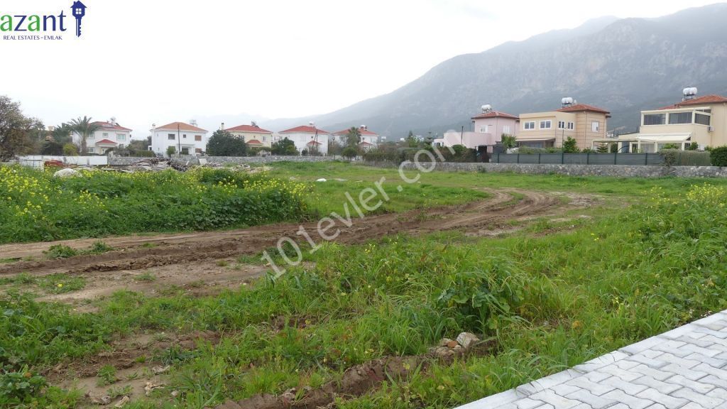 Investment Opportunity. Land and project for 16 apartments and communal pool for sale.