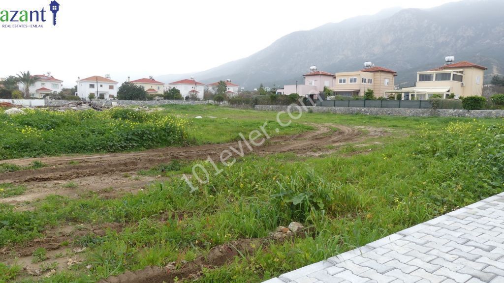 Investment Opportunity. Land and project for 16 apartments and communal pool for sale.