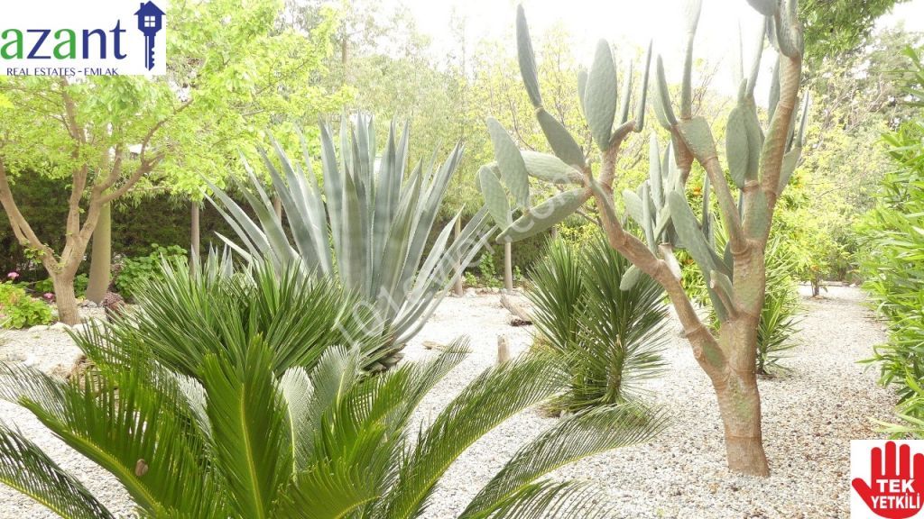 ILGAZ KOYUNDE HAVUZLU DAG VE DENIZ MANZARALI VILLA