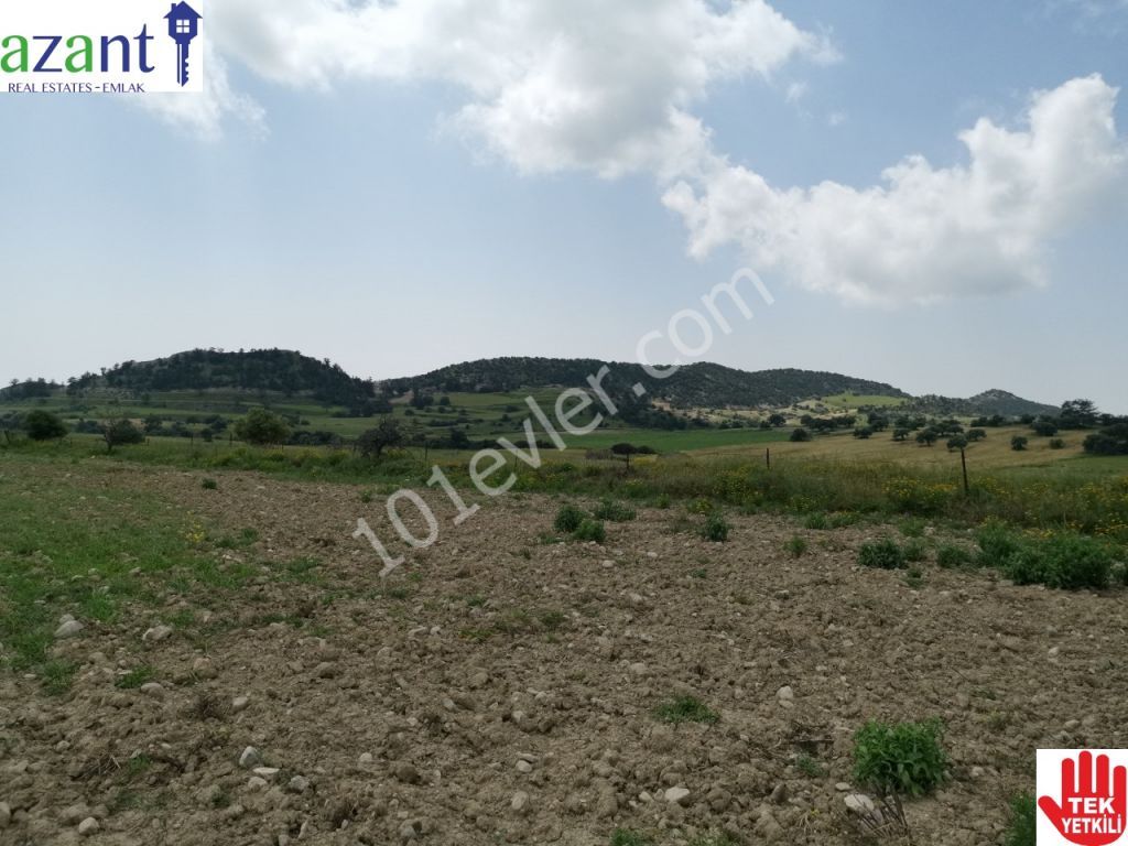 10 DONUM OF TURKISH TITLE LAND IN ERGAZI ISKELE