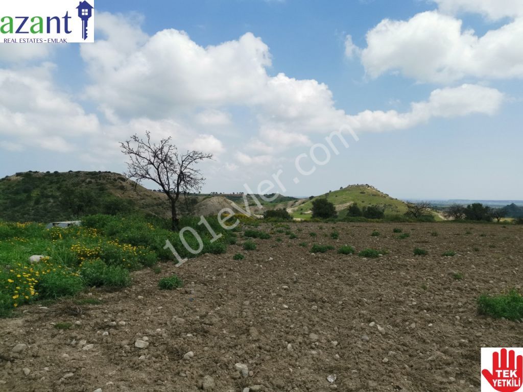 10 DONUM OF TURKISH TITLE LAND IN ERGAZI ISKELE