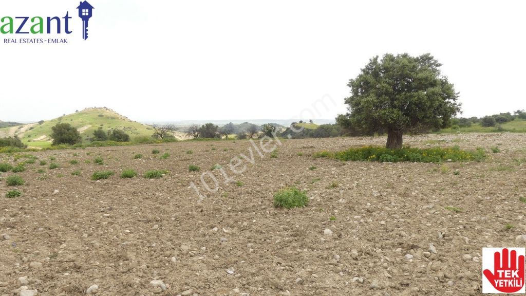 10 DONUM OF TURKISH TITLE LAND IN ERGAZI ISKELE