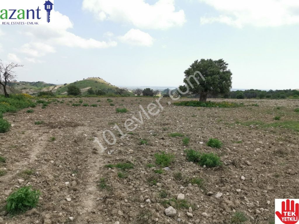 10 DONUM OF TURKISH TITLE LAND IN ERGAZI ISKELE