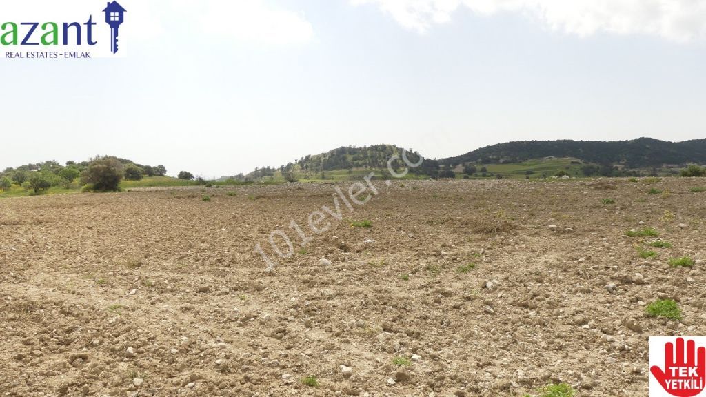 10 DONUM OF TURKISH TITLE LAND IN ERGAZI ISKELE