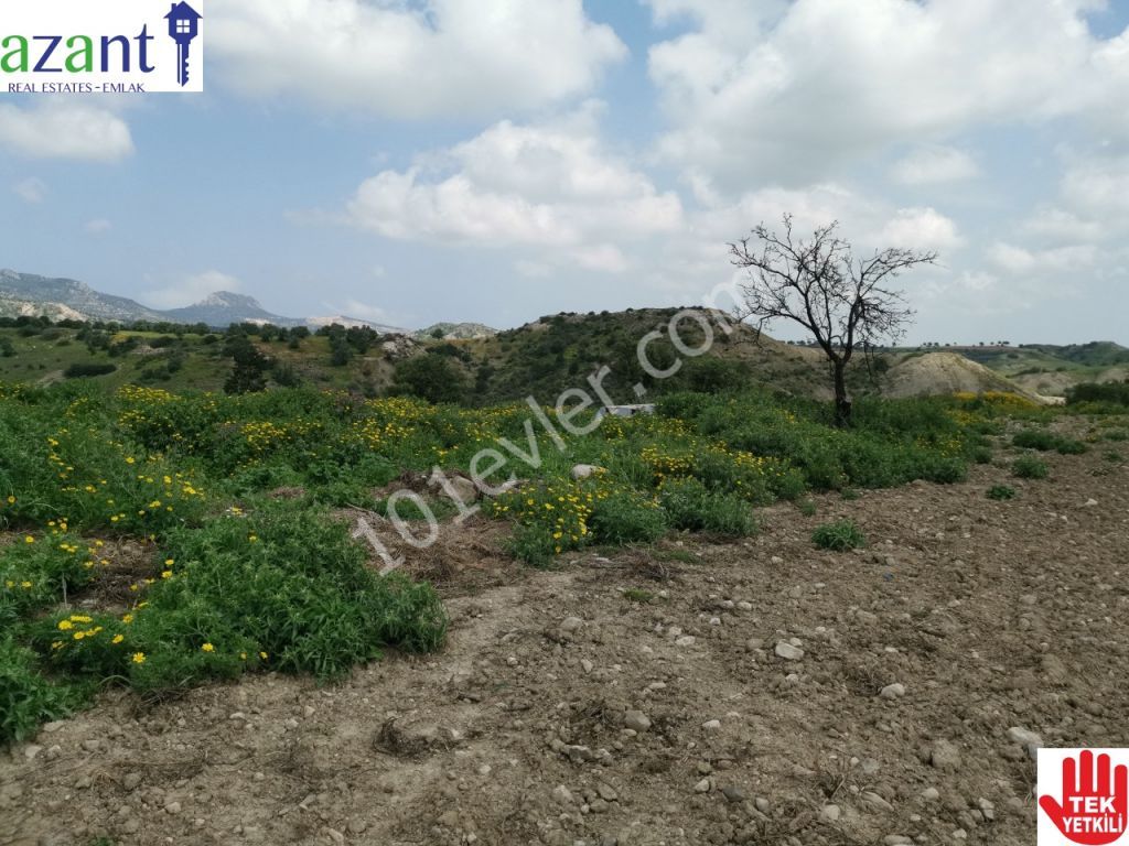 10 DONUM OF TURKISH TITLE LAND IN ERGAZI ISKELE